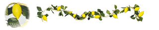 9' Fruit Rope Garland - 13 Fruit