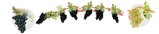 9' Fruit Rope Garland - 13 Fruit