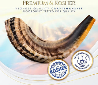 Shofar - Ram's Horn