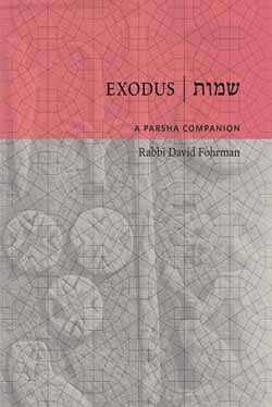A Parsha Companion