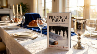 Practical Parsha #2