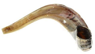 Shofar - Ram's Horn