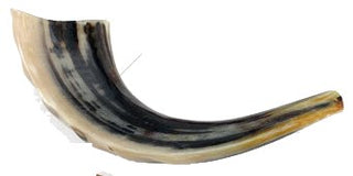 Shofar - Ram's Horn