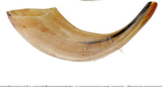 Shofar - Ram's Horn