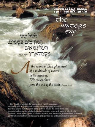Perek Shirah - The Song of the Universe