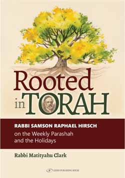 Rooted in Torah