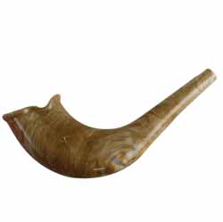 Elegant Plastic Shofar